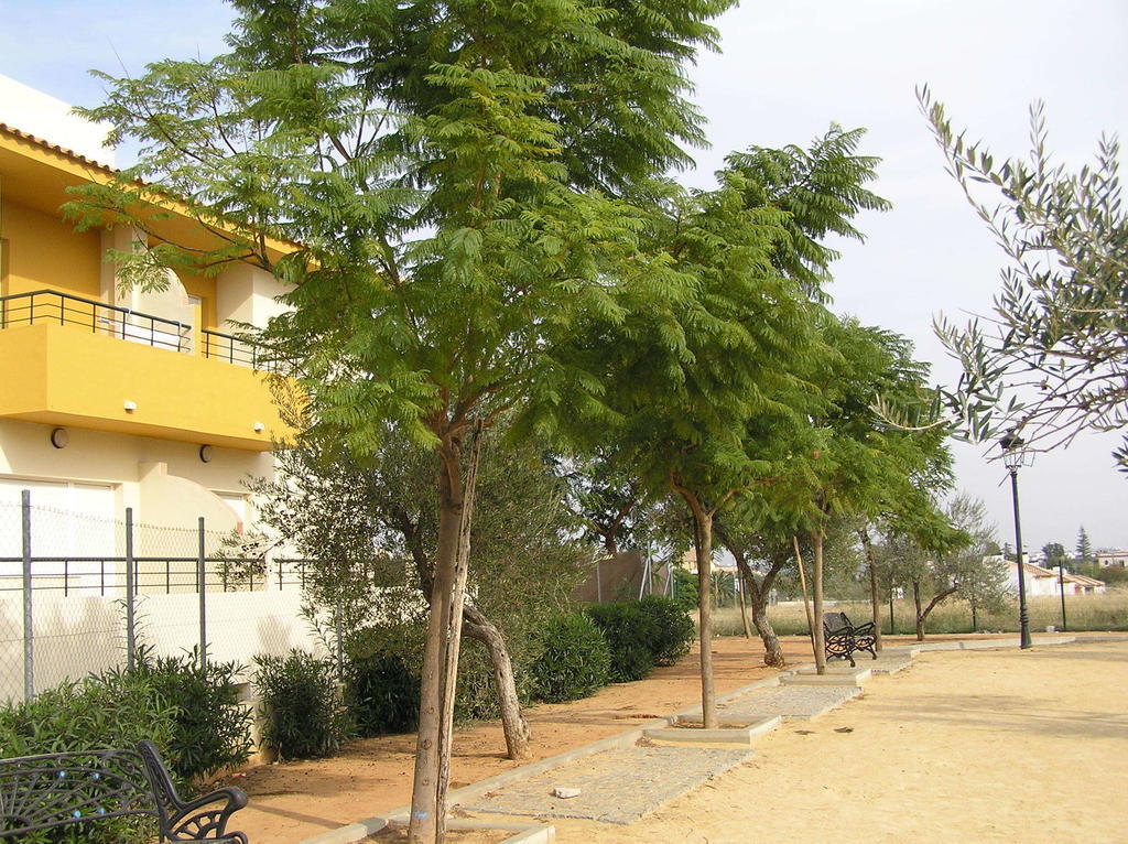 Apartamentos Turisticos Los Girasoles Espartinas Extérieur photo